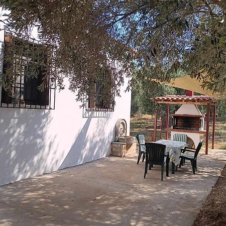 The Small House In The Olive Grove Lefókastron Exterior foto