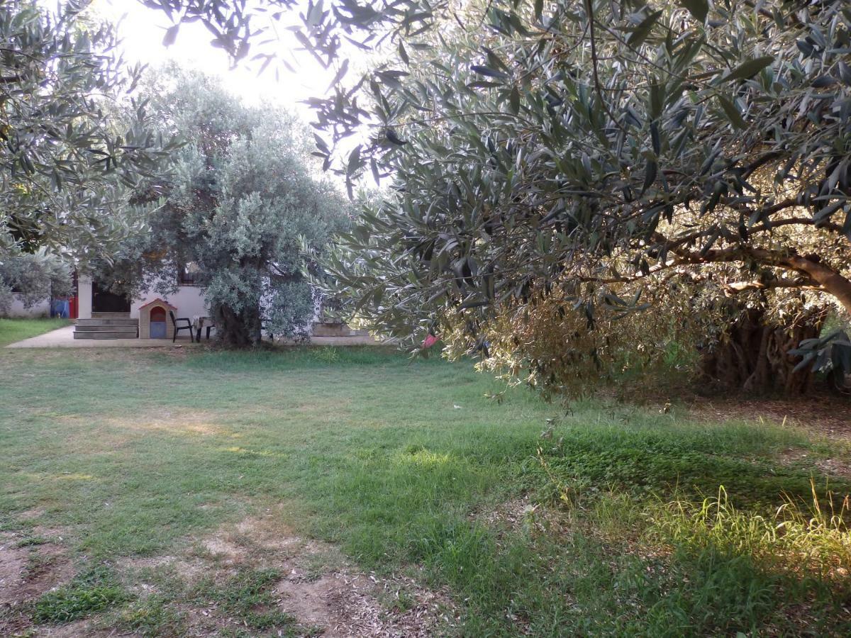 The Small House In The Olive Grove Lefókastron Exterior foto