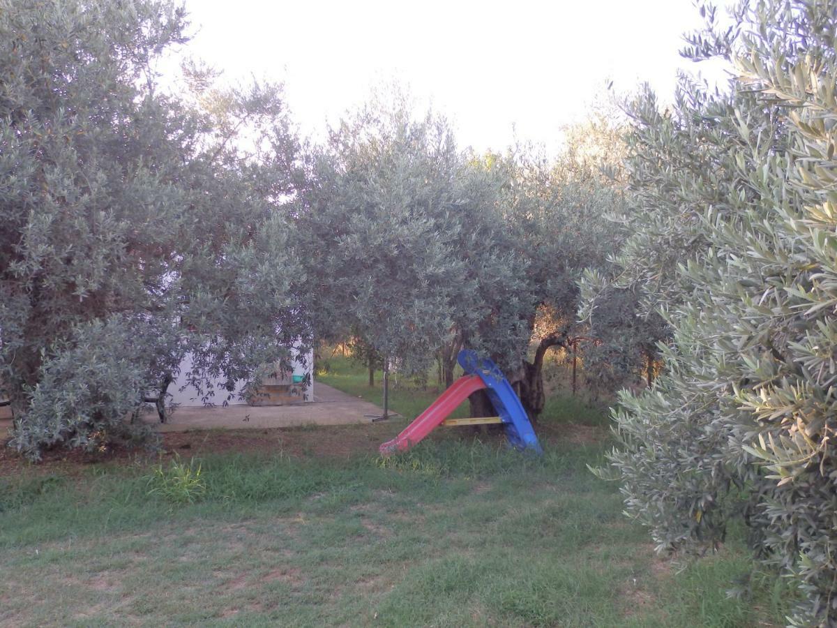 The Small House In The Olive Grove Lefókastron Exterior foto