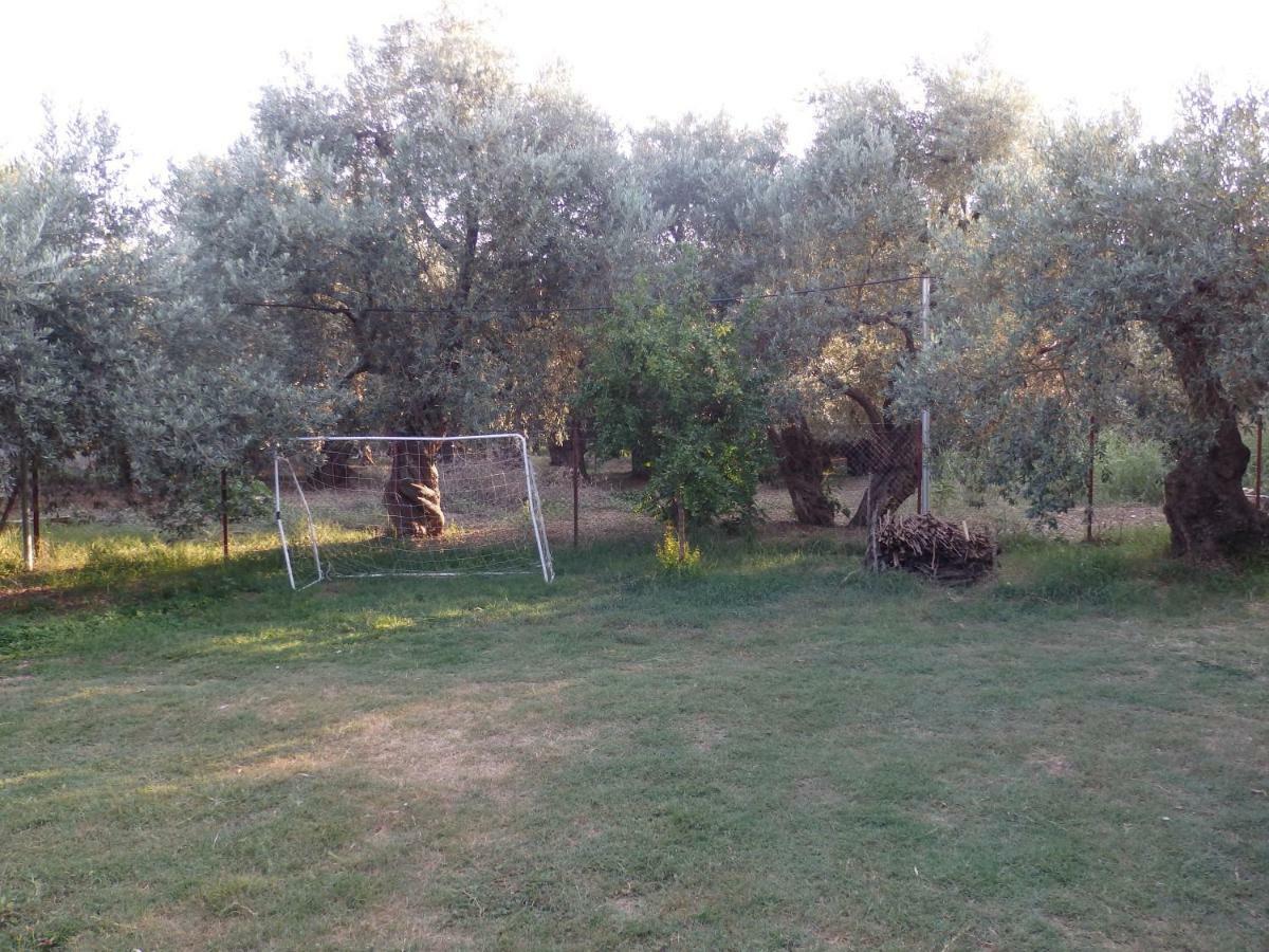The Small House In The Olive Grove Lefókastron Exterior foto