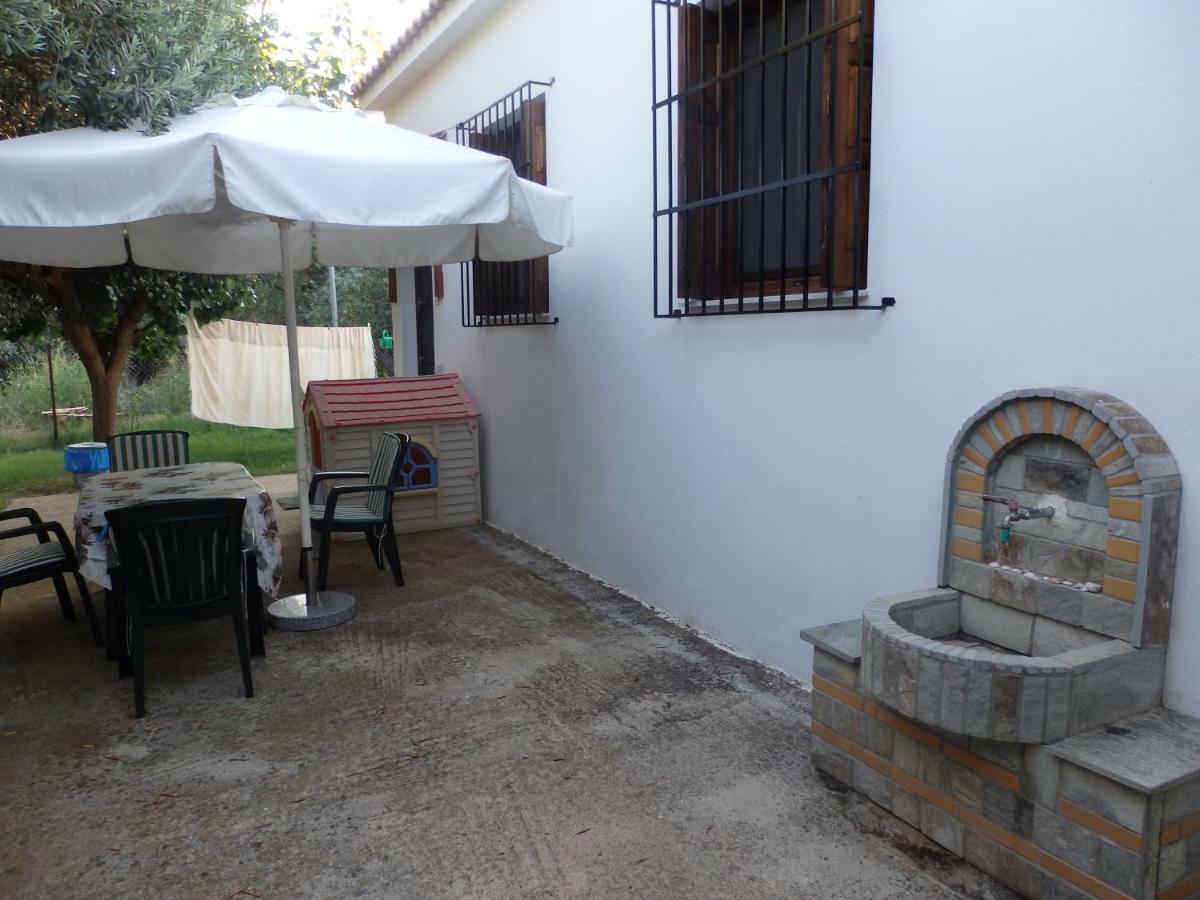 The Small House In The Olive Grove Lefókastron Exterior foto