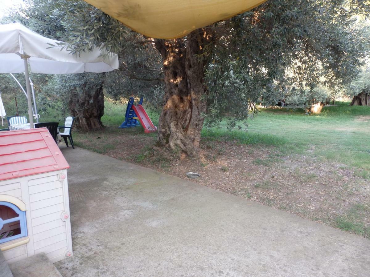 The Small House In The Olive Grove Lefókastron Exterior foto
