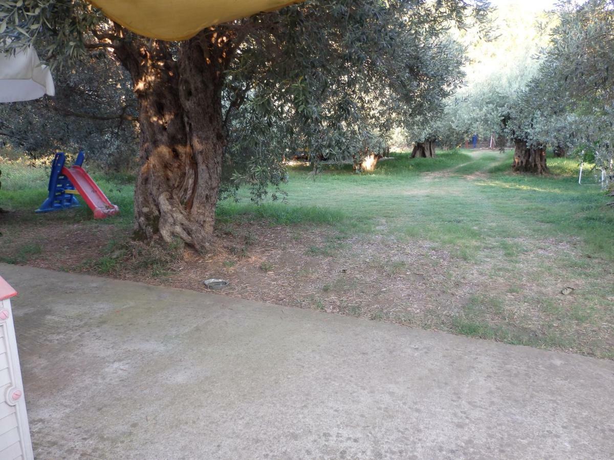 The Small House In The Olive Grove Lefókastron Exterior foto